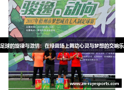 足球的旋律与激情：在绿茵场上舞动心灵与梦想的交响乐