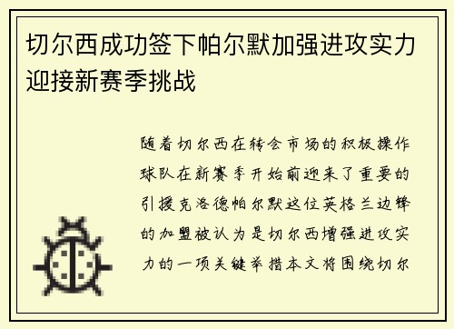 切尔西成功签下帕尔默加强进攻实力迎接新赛季挑战